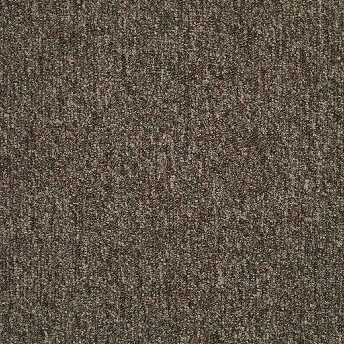 Medusa Tile 43 macro shot