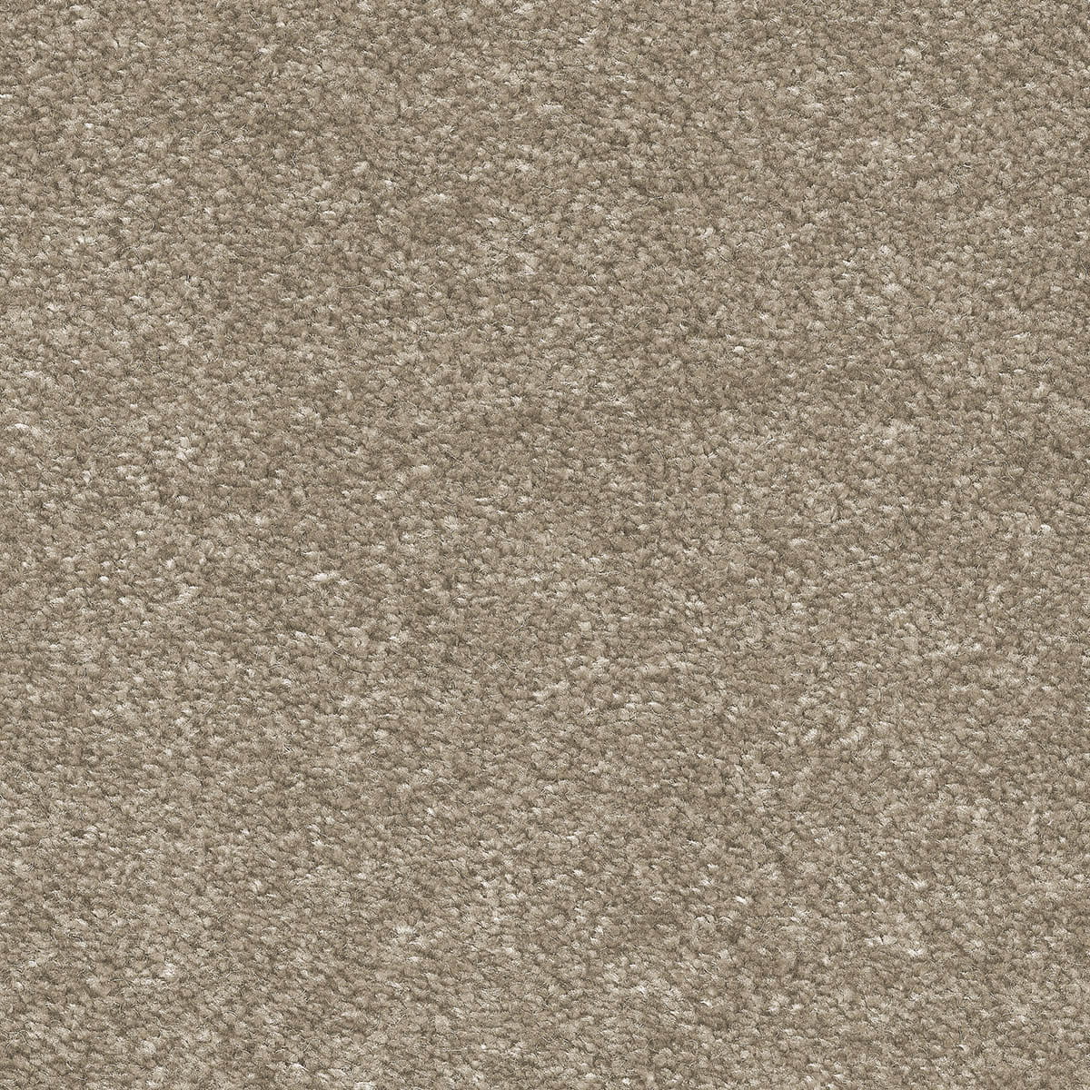 Obsession 36 macro shot