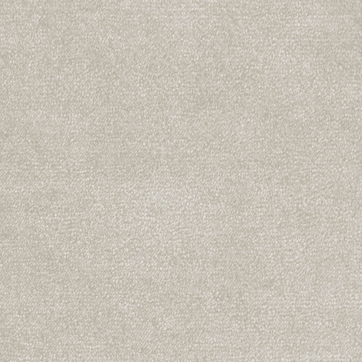 Omphale 39 macro shot