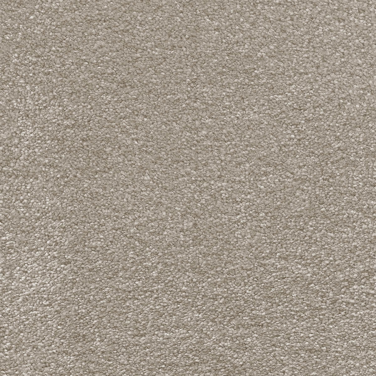 Satisfaction 39 macro shot