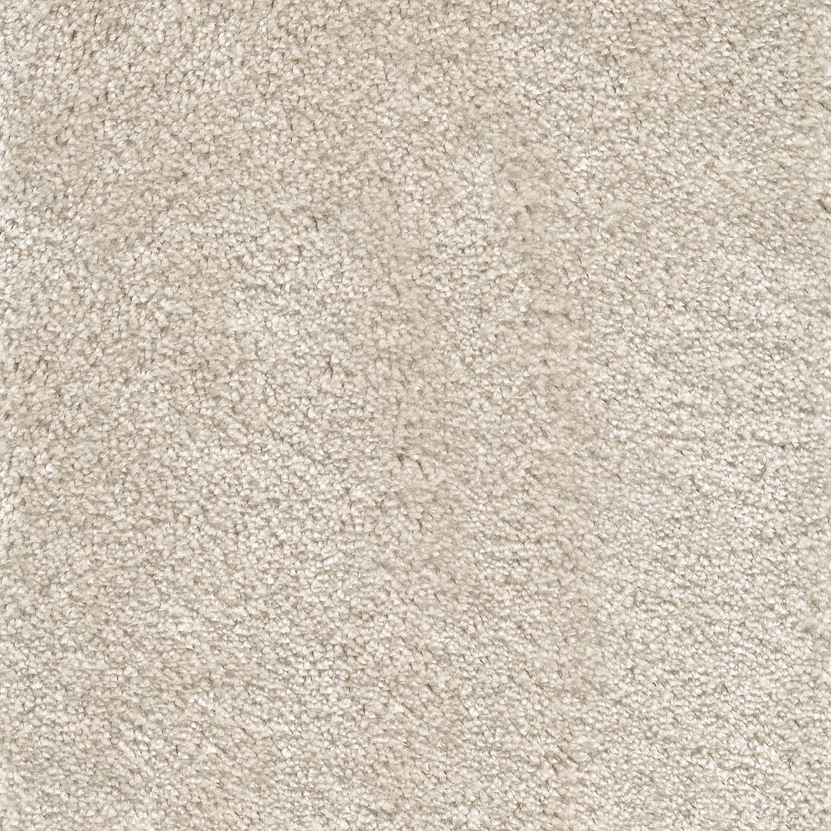 Sentiment 39 macro shot