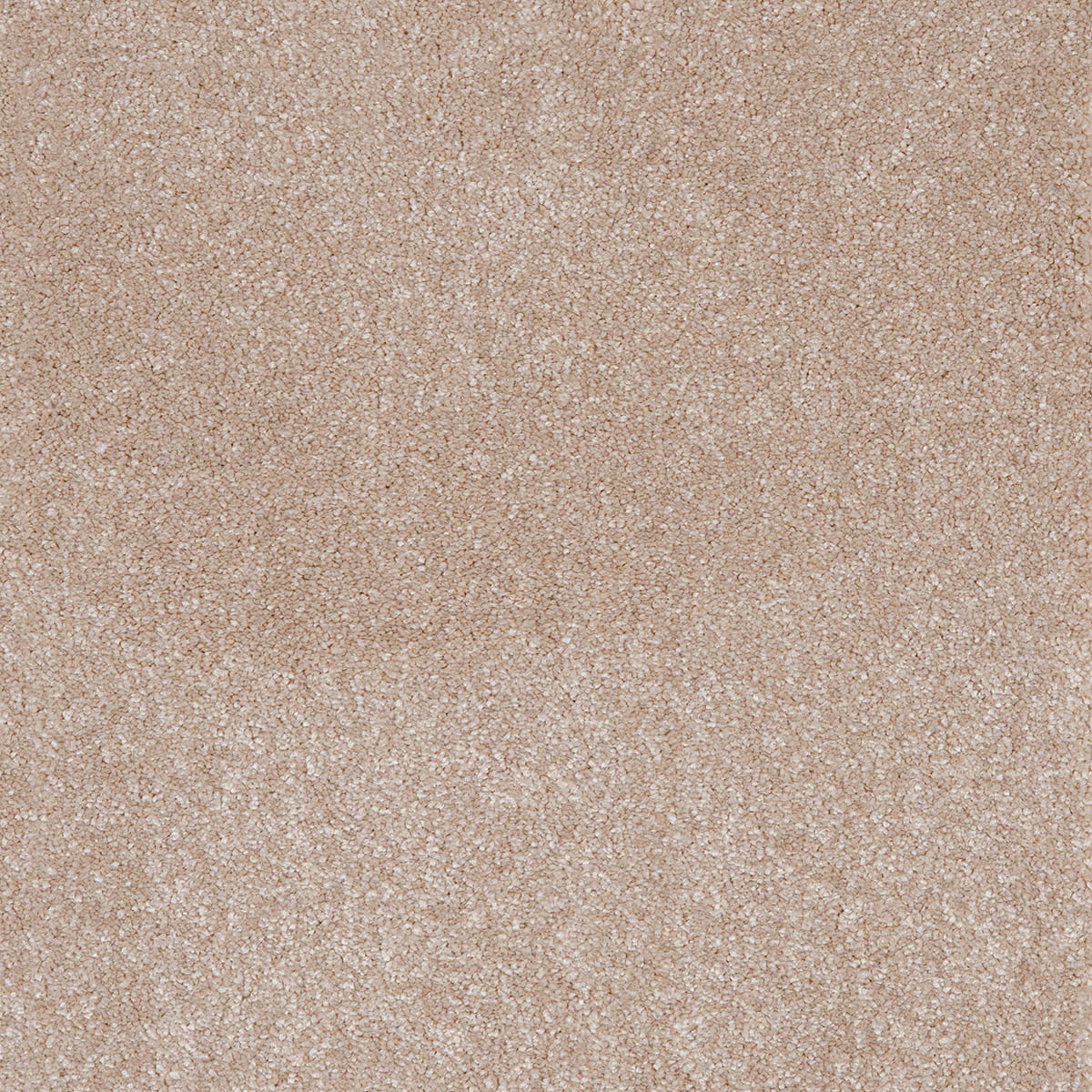 Sonrisa 39 macro shot