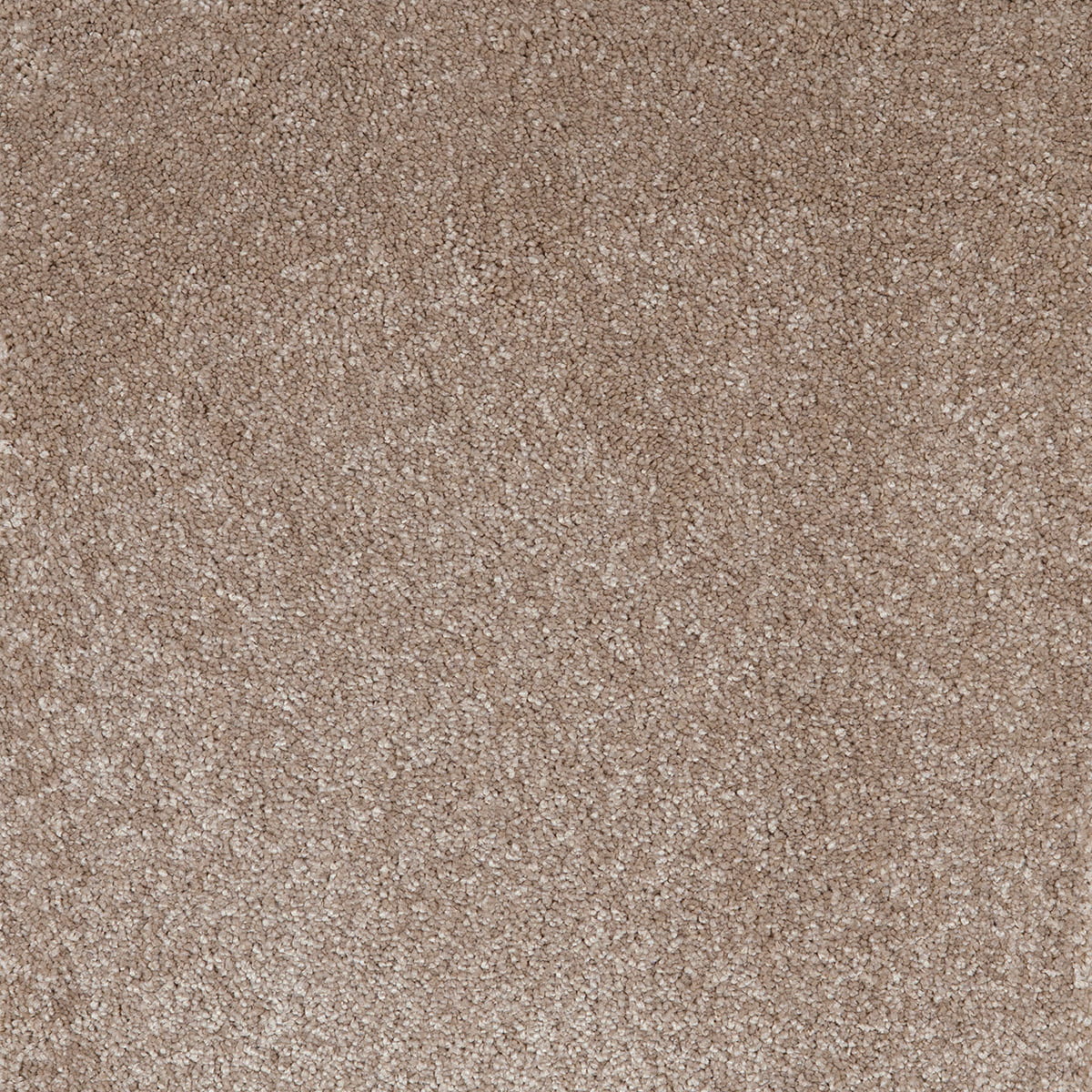 Superbe 39 macro shot