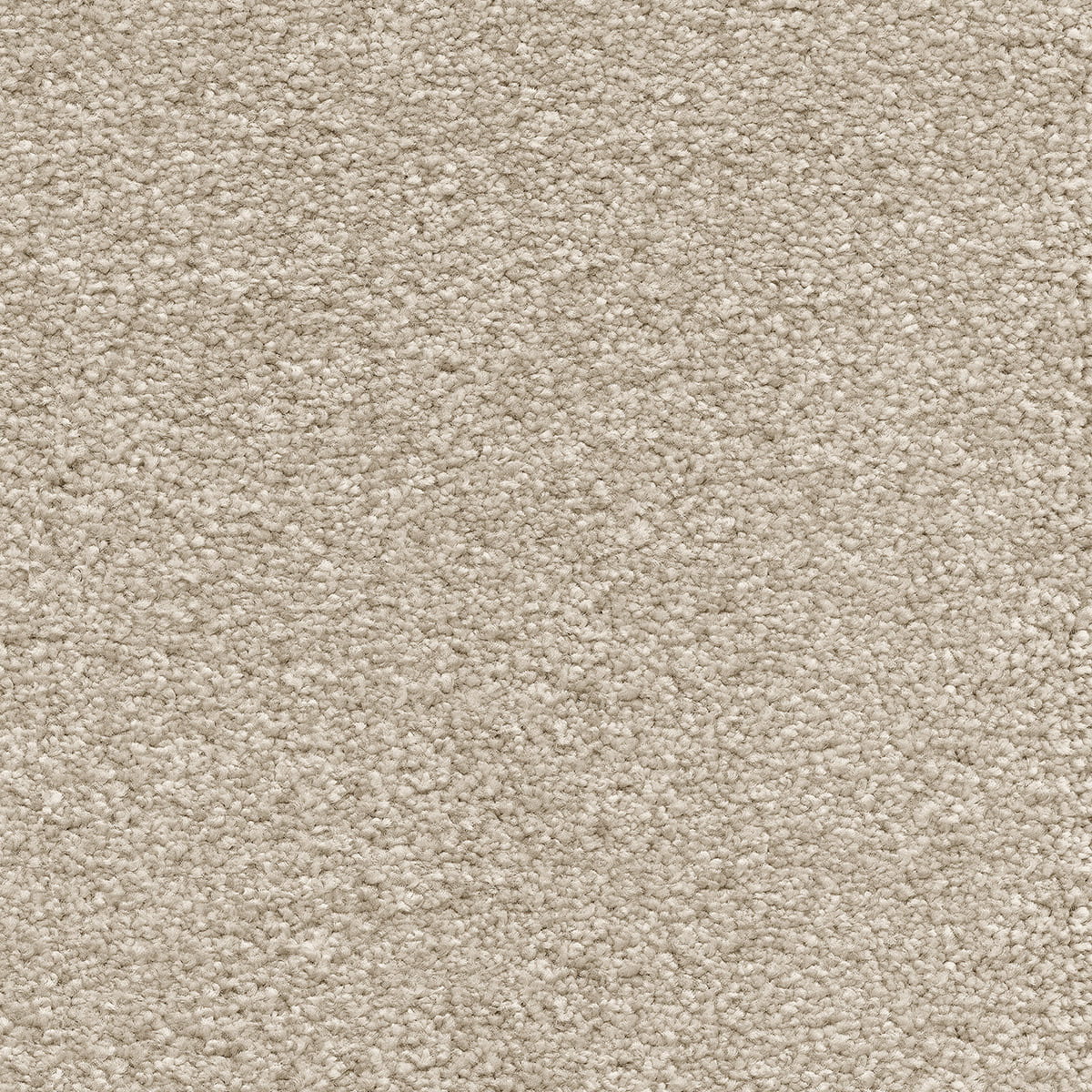 Suspense 39 macro shot