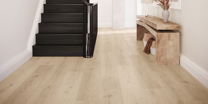 Silk Oak