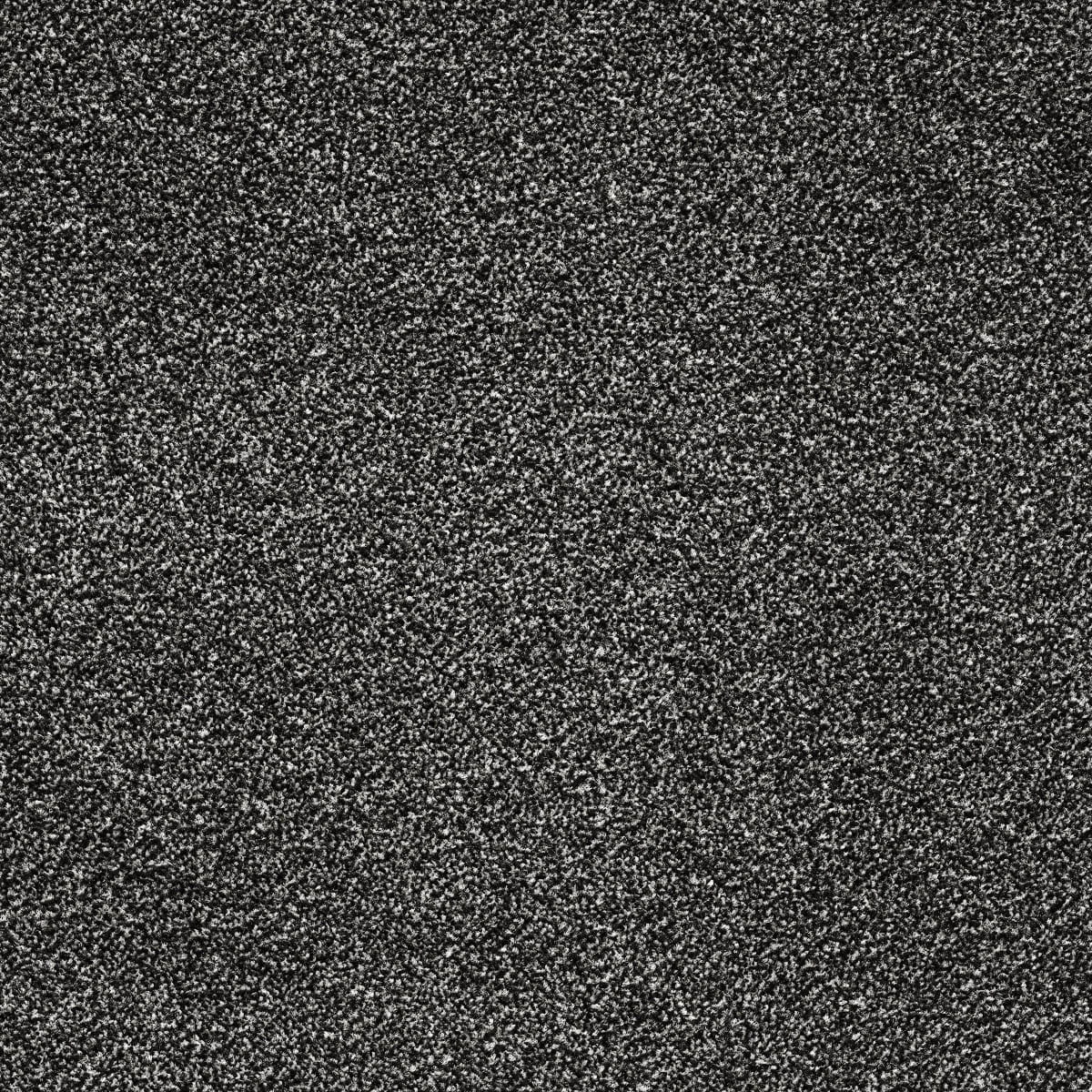 Concerto 98 macro shot