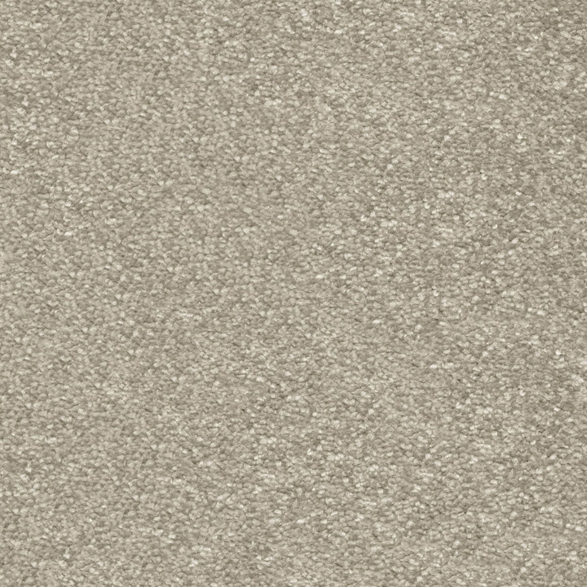 Centurion 33 macro shot