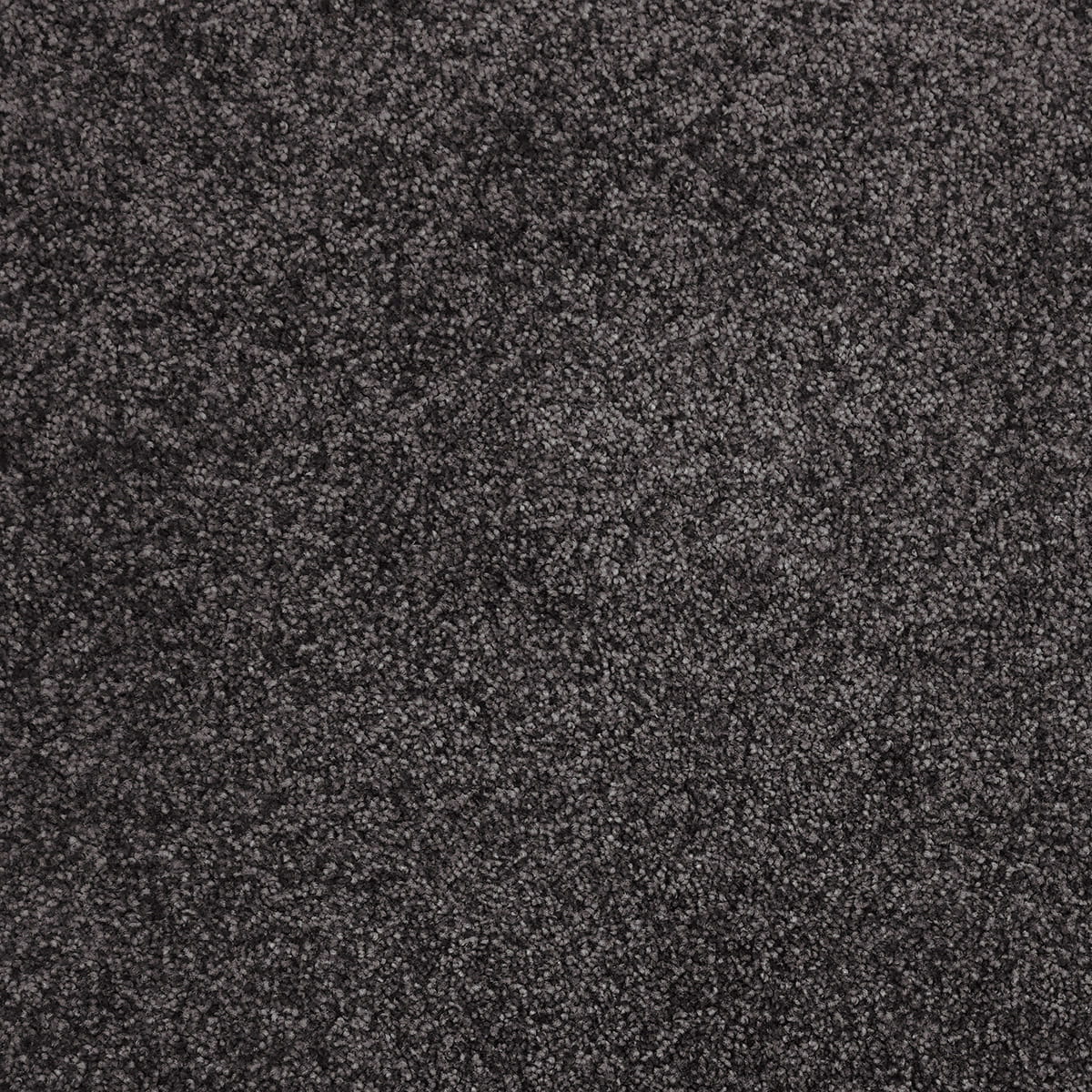 Dynamo 98 macro shot