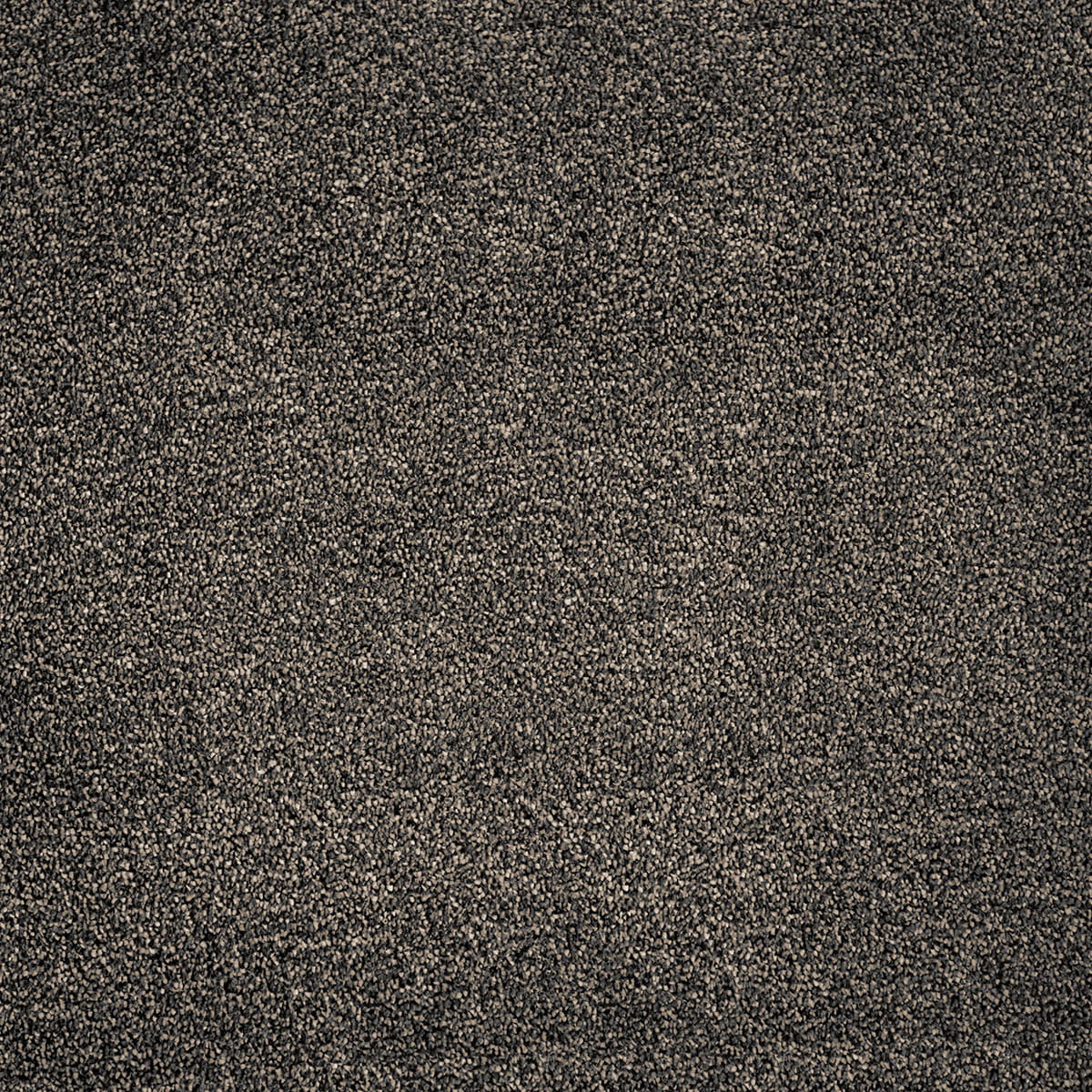 Ganges 99 macro shot