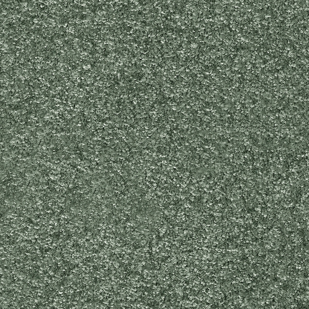 Indus 40