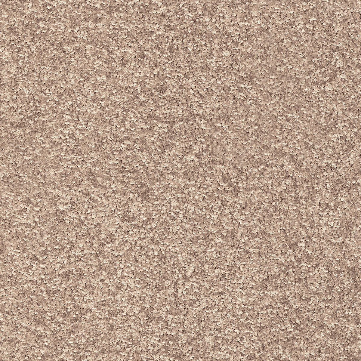 Indus 40
