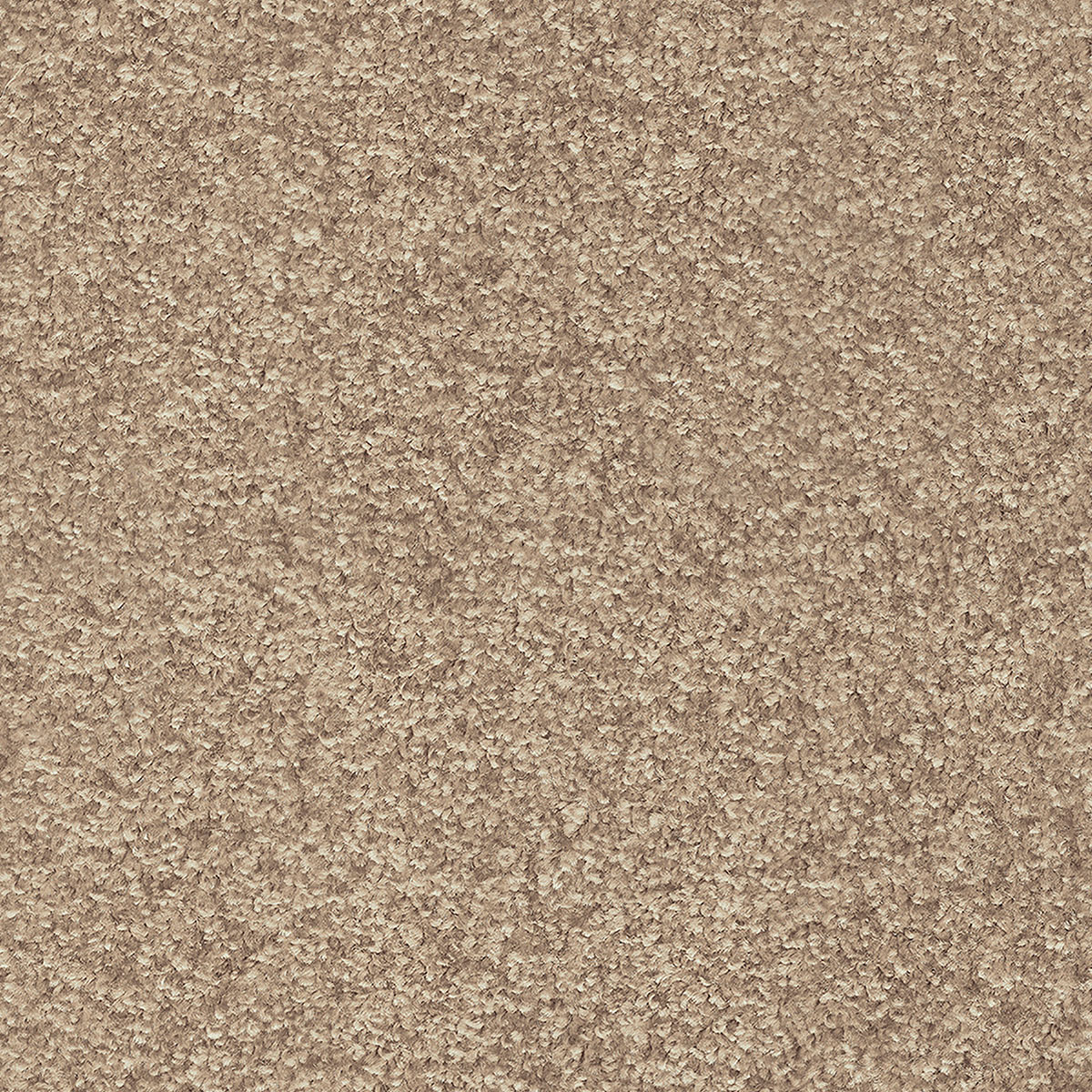 Indus 40