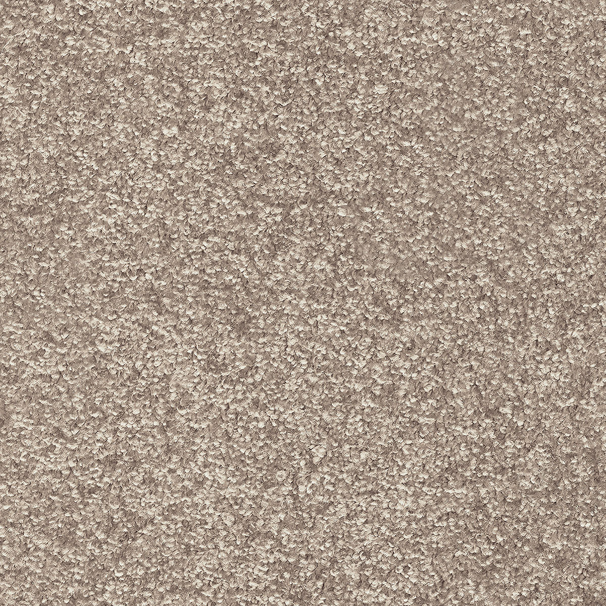 Indus 40