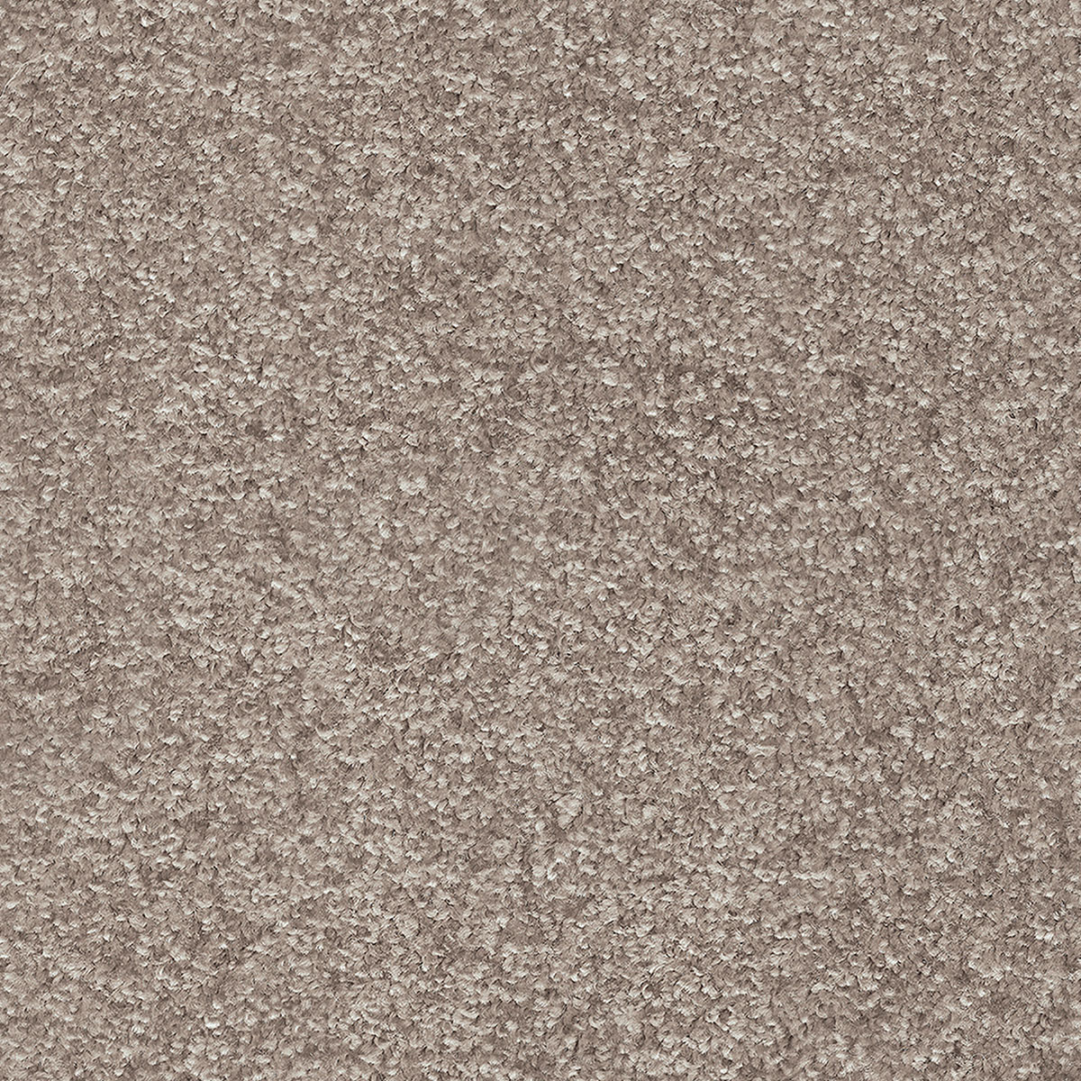 Indus 40