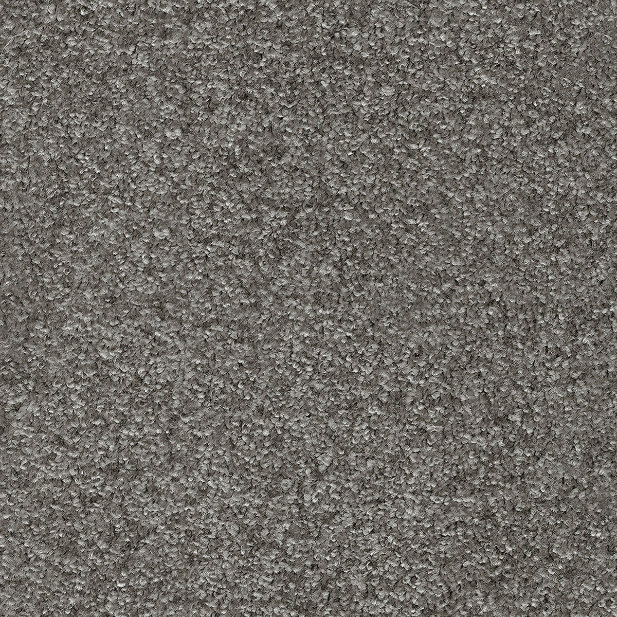 Indus 40