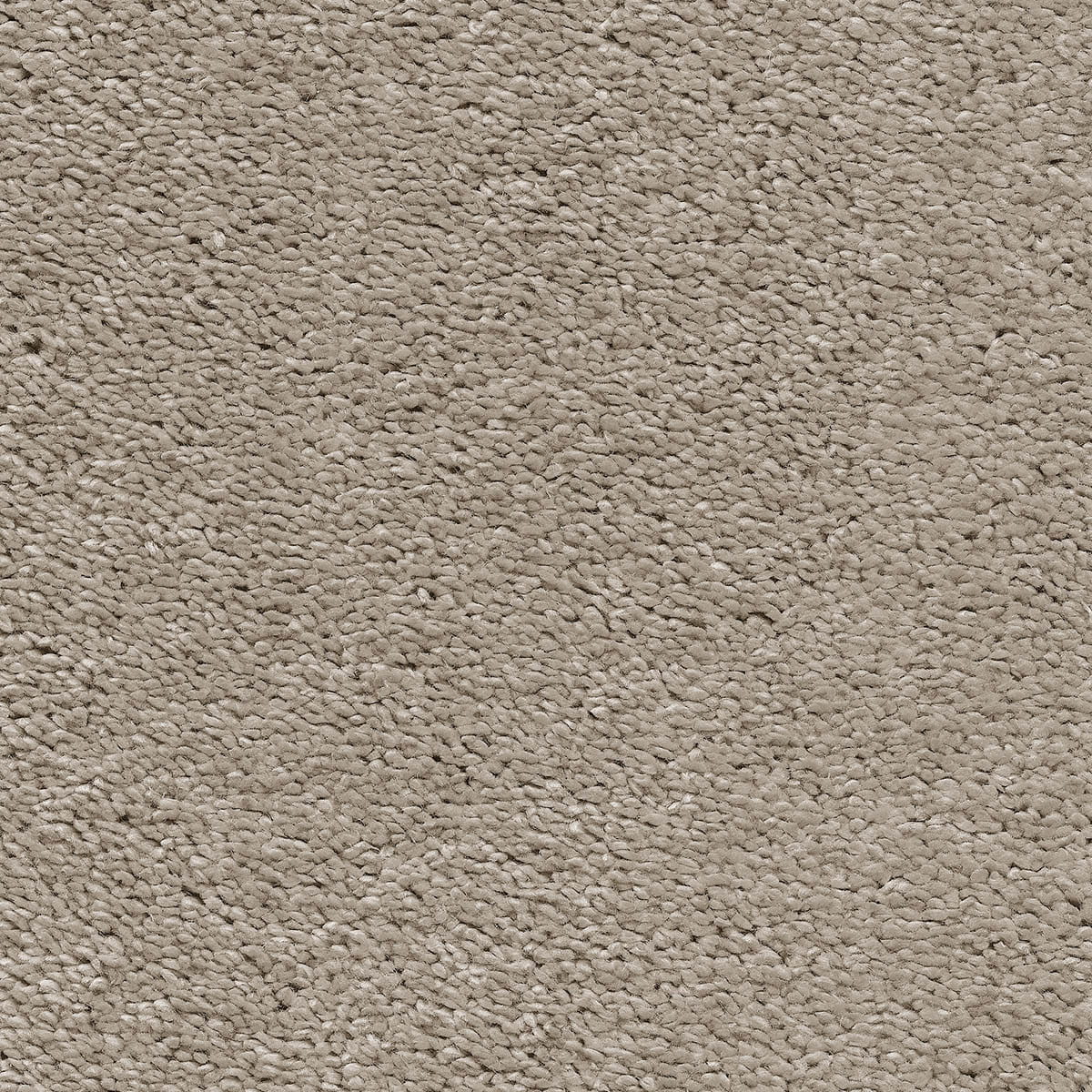 Magnificus 35 macro shot