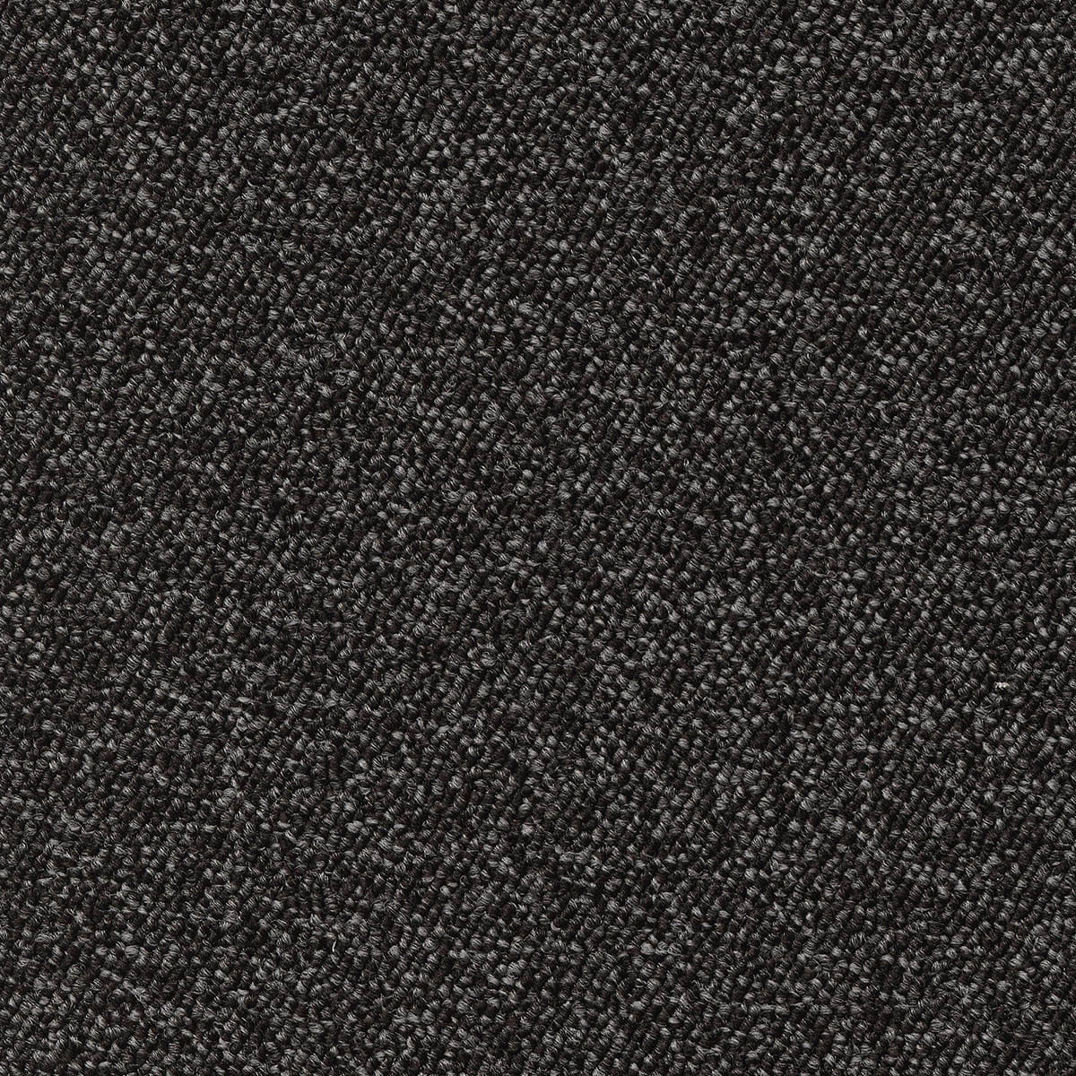 Maxima 99 macro shot