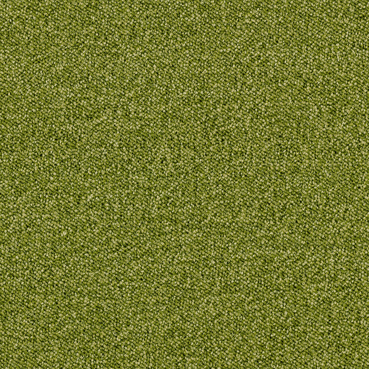 Maxima Tile 33
