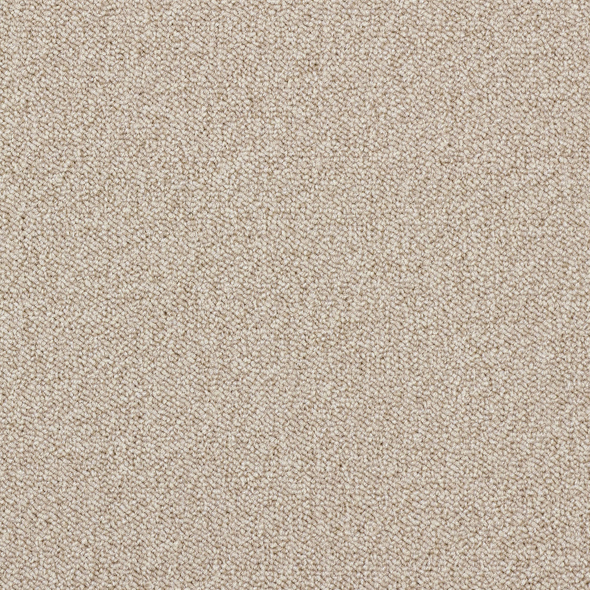 Maxima Tile 33 macro shot