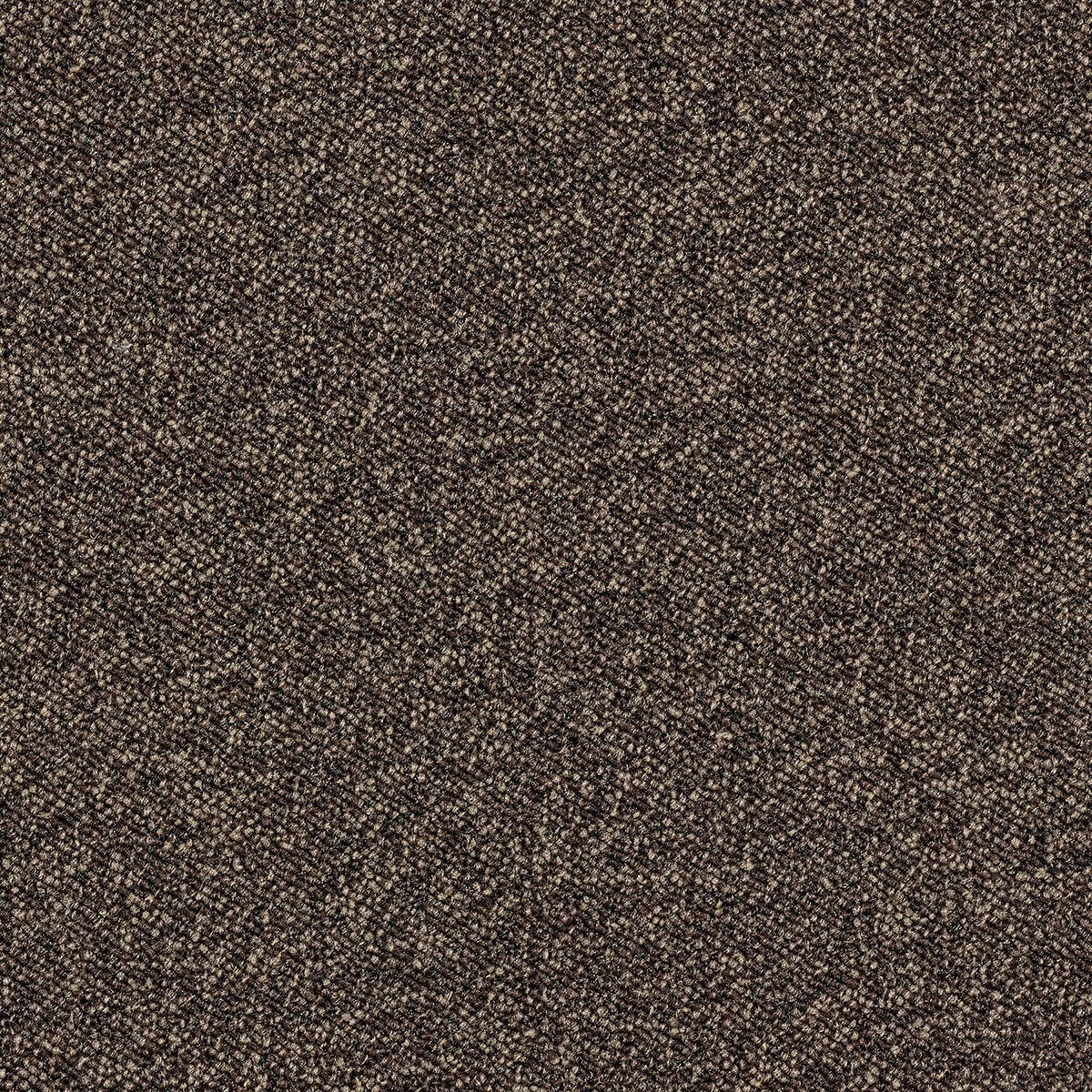Maxima Tile 33