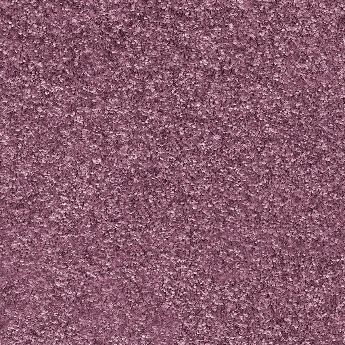 Numicus 35