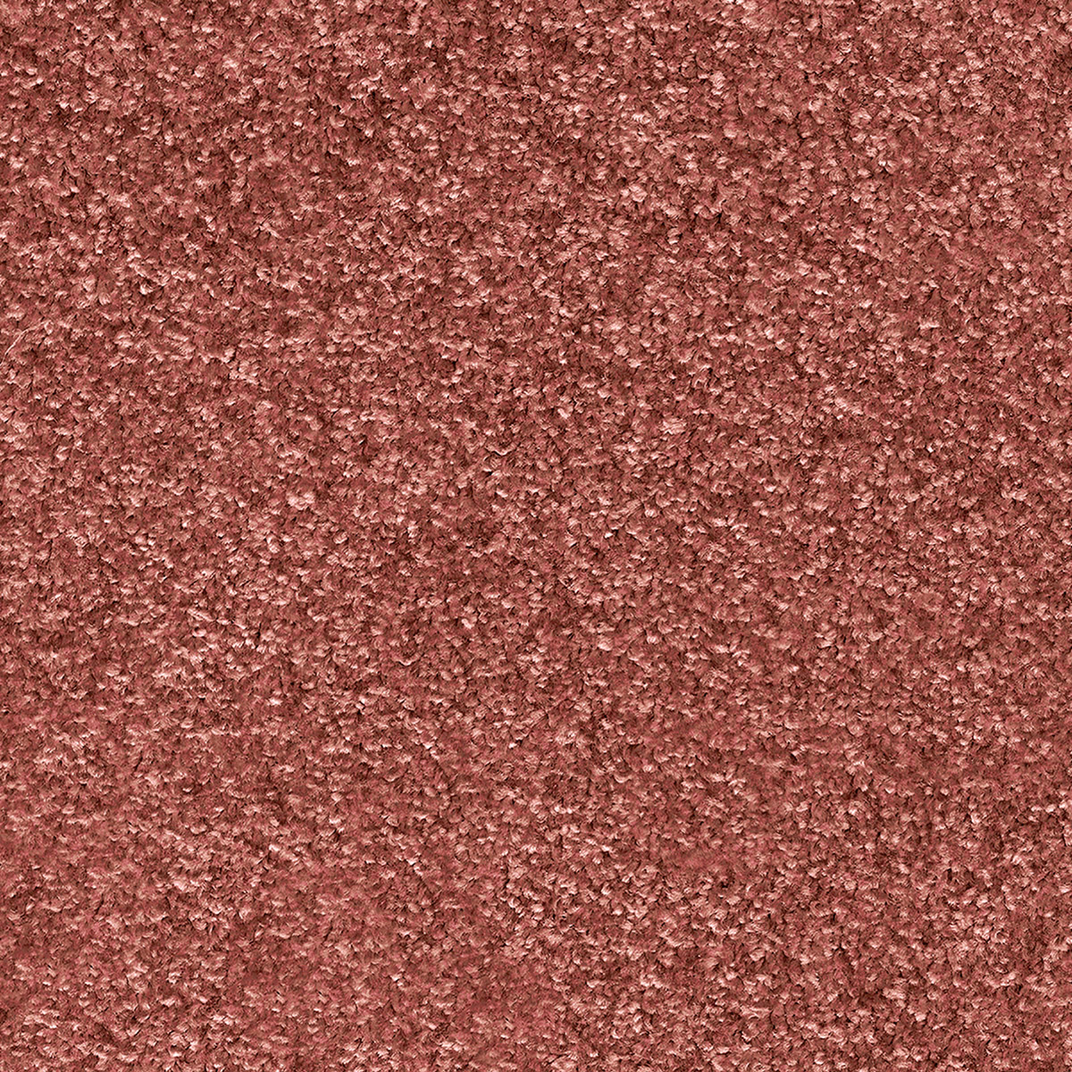 Numicus 35