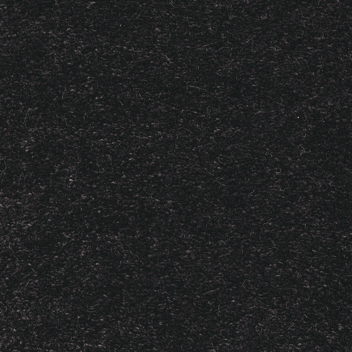 Obsession 03