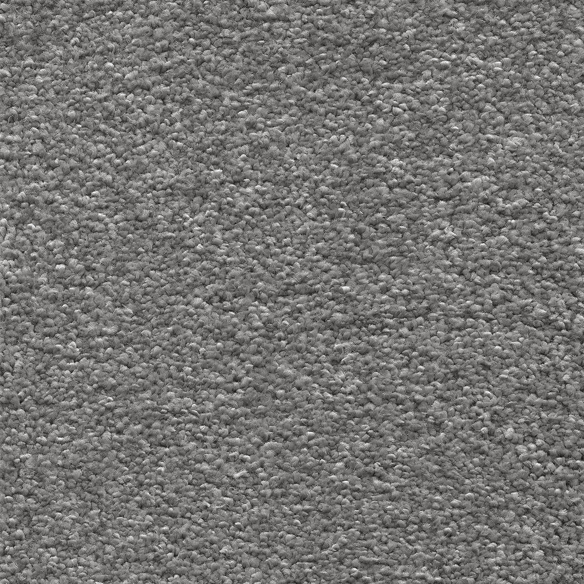Orion 96