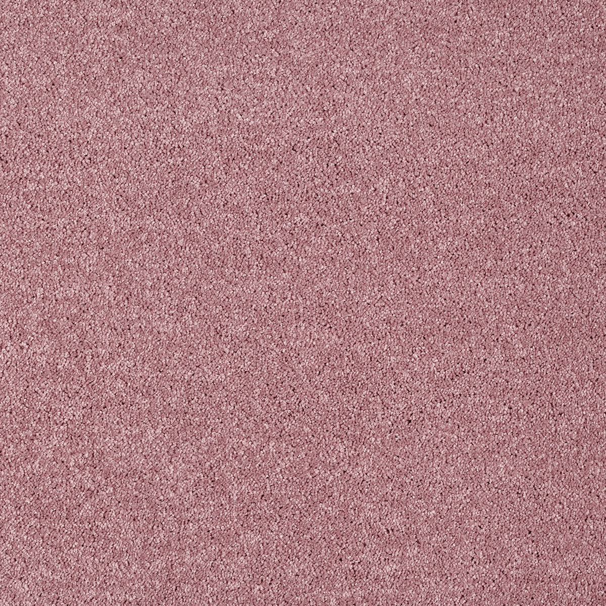 Pisces 39