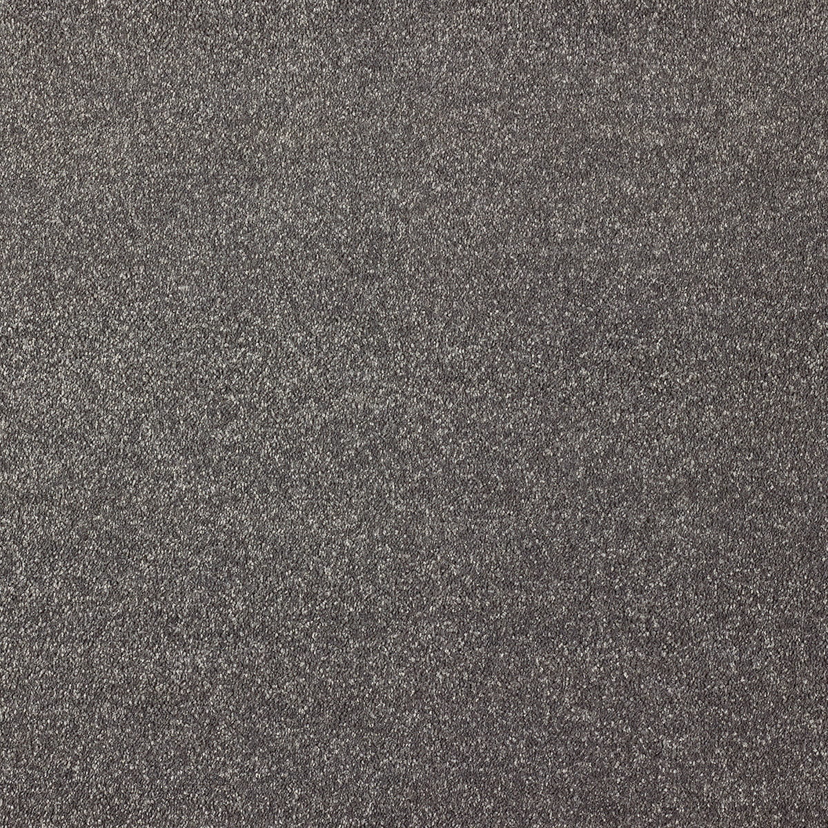 Revive 98 macro shot