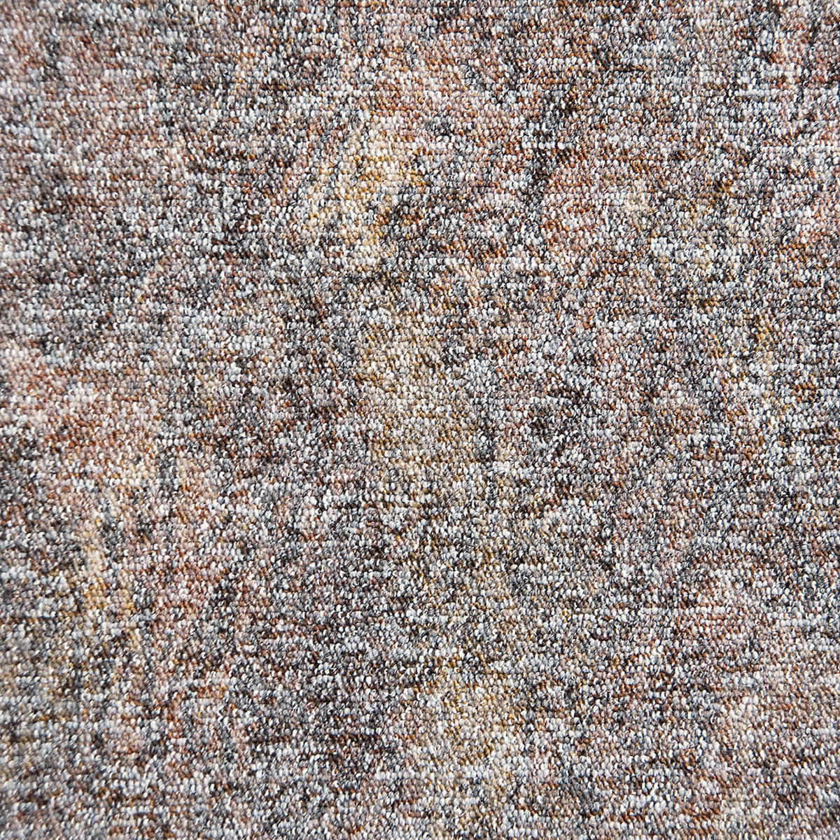 Sierra 48 macro shot