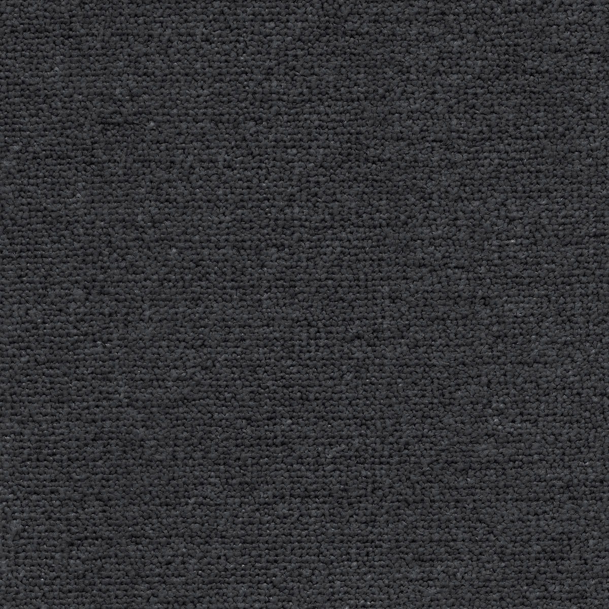 Solace 97 macro shot