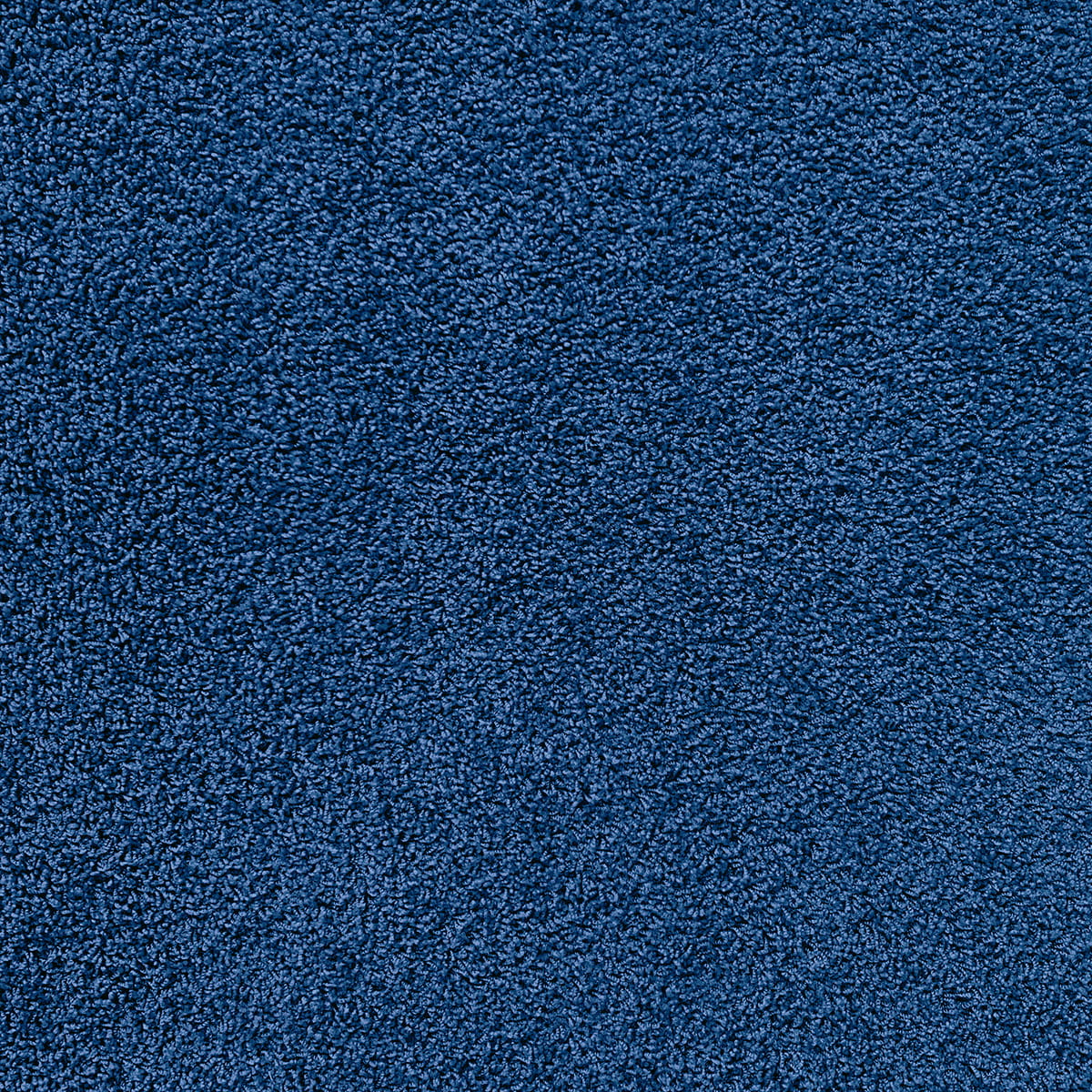 Sparkling New 77 macro shot