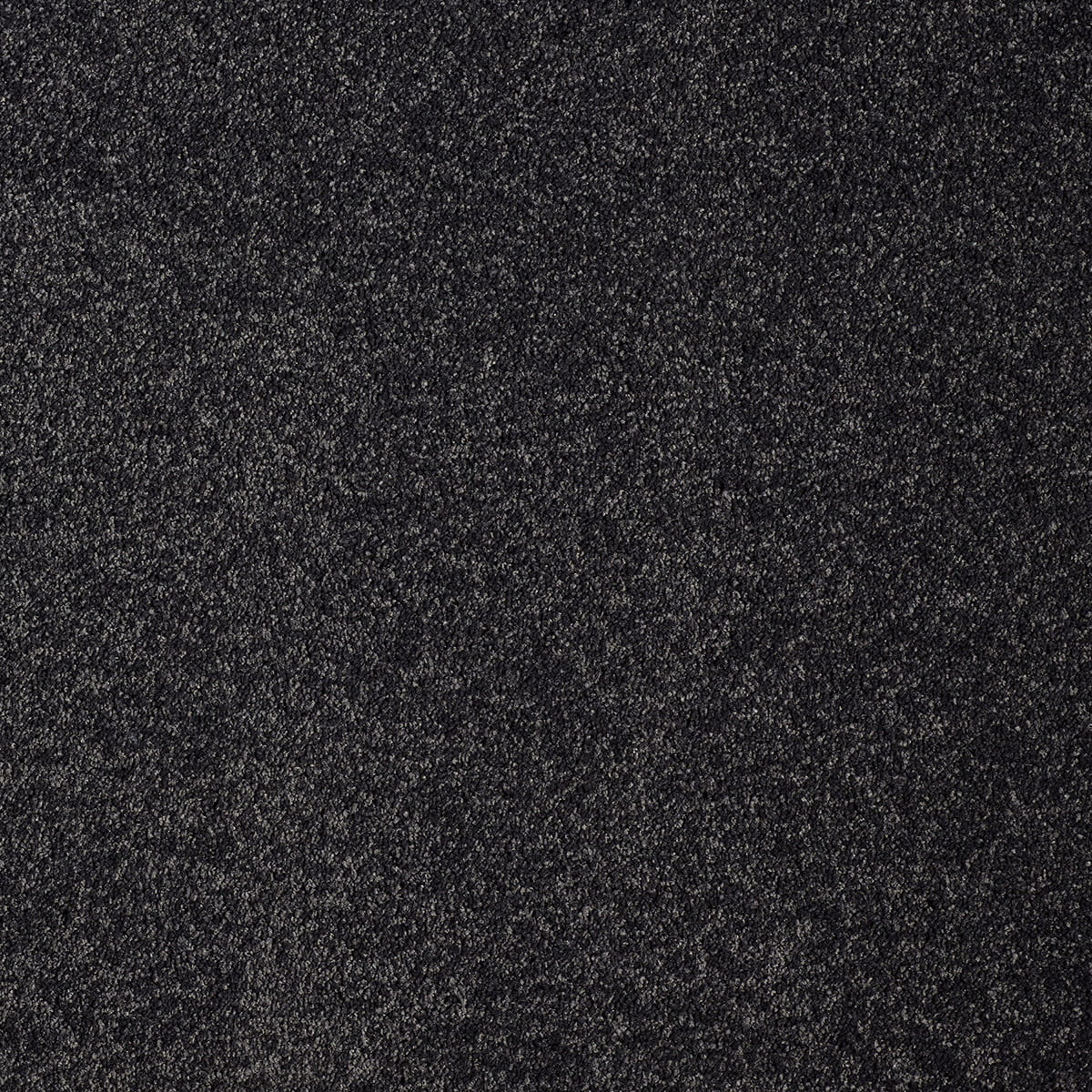 Seraph 99 macro shot