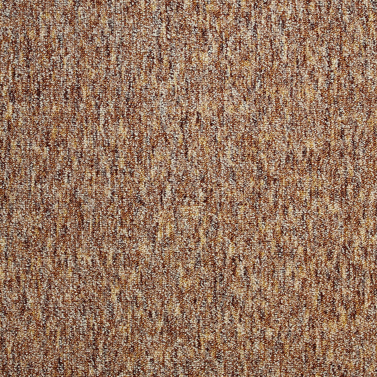 Savannah 84 macro shot