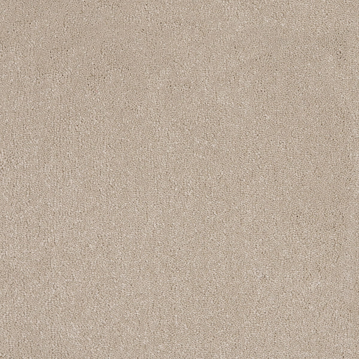 Taurus 33 macro shot