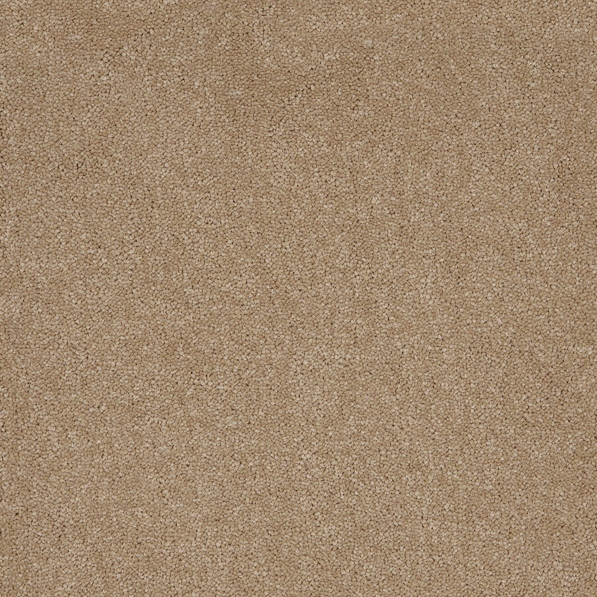 Gemini 37 macro shot