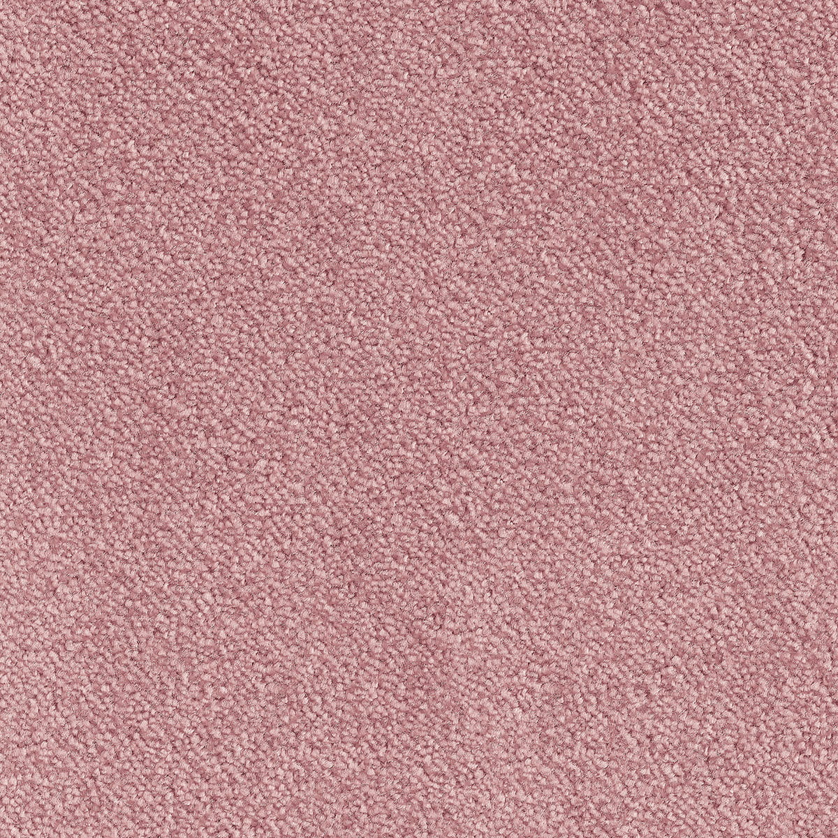 Urbanite 60 macro shot