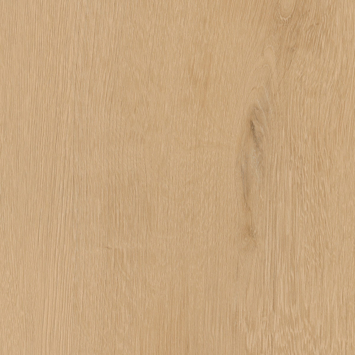 Belrose Oak - Truffle