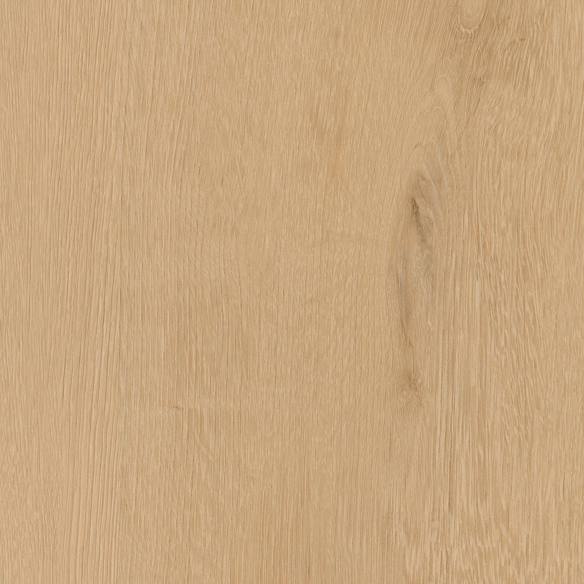 Belrose Oak - Truffle