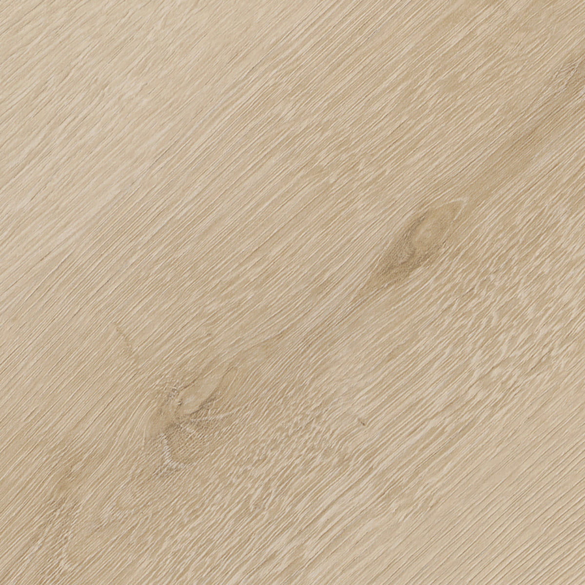 Belrose Oak - Truffle macro shot