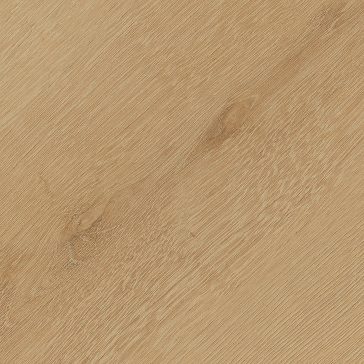 Belrose Oak - Sesame macro shot