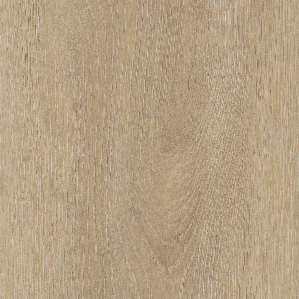 Divine Oak - Cookie