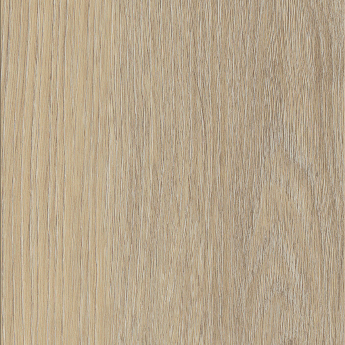 French Oak - Desert macro shot