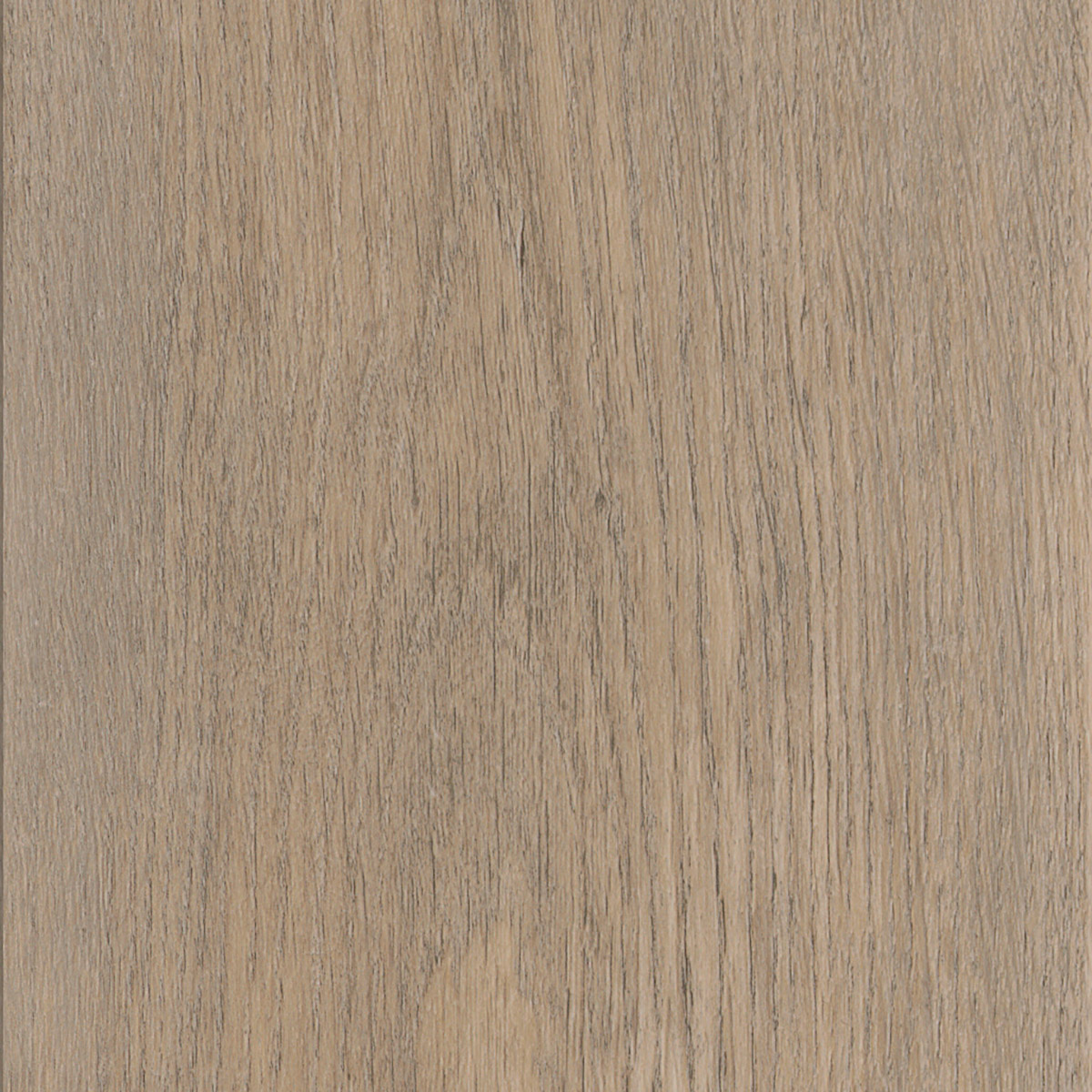 New England Oak - Toffee