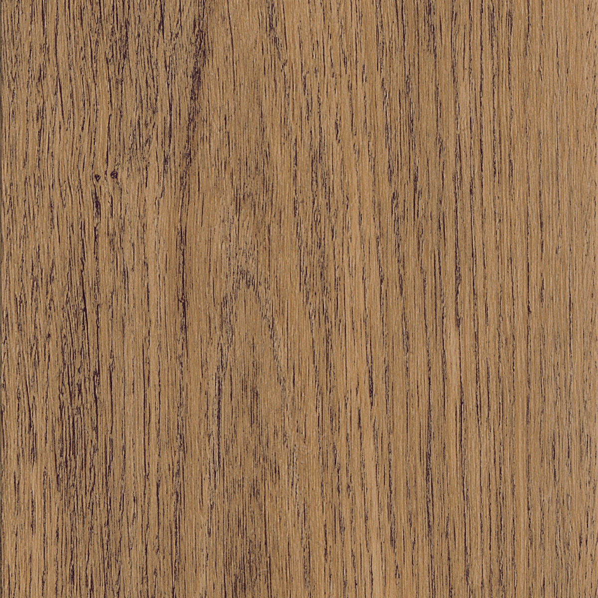 New England Oak - Toffee macro shot
