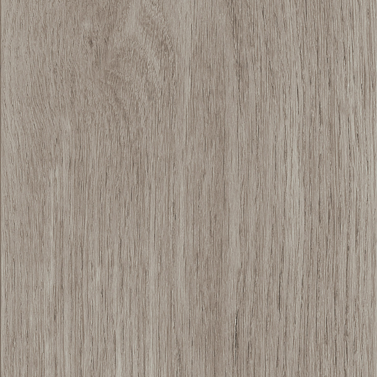 New England Oak - Toffee