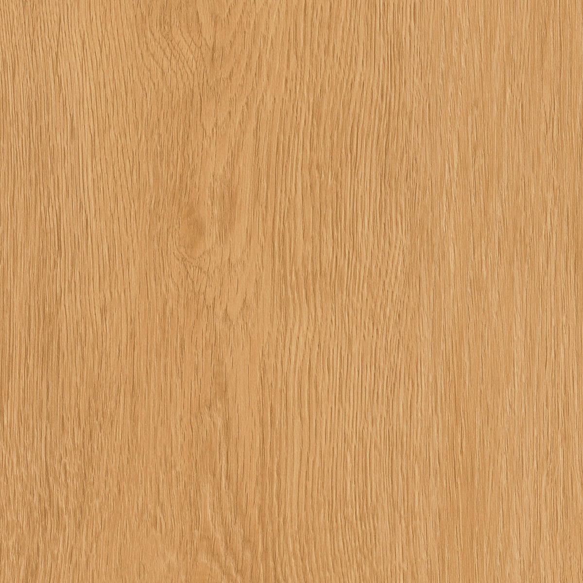 Regency Oak - Toast