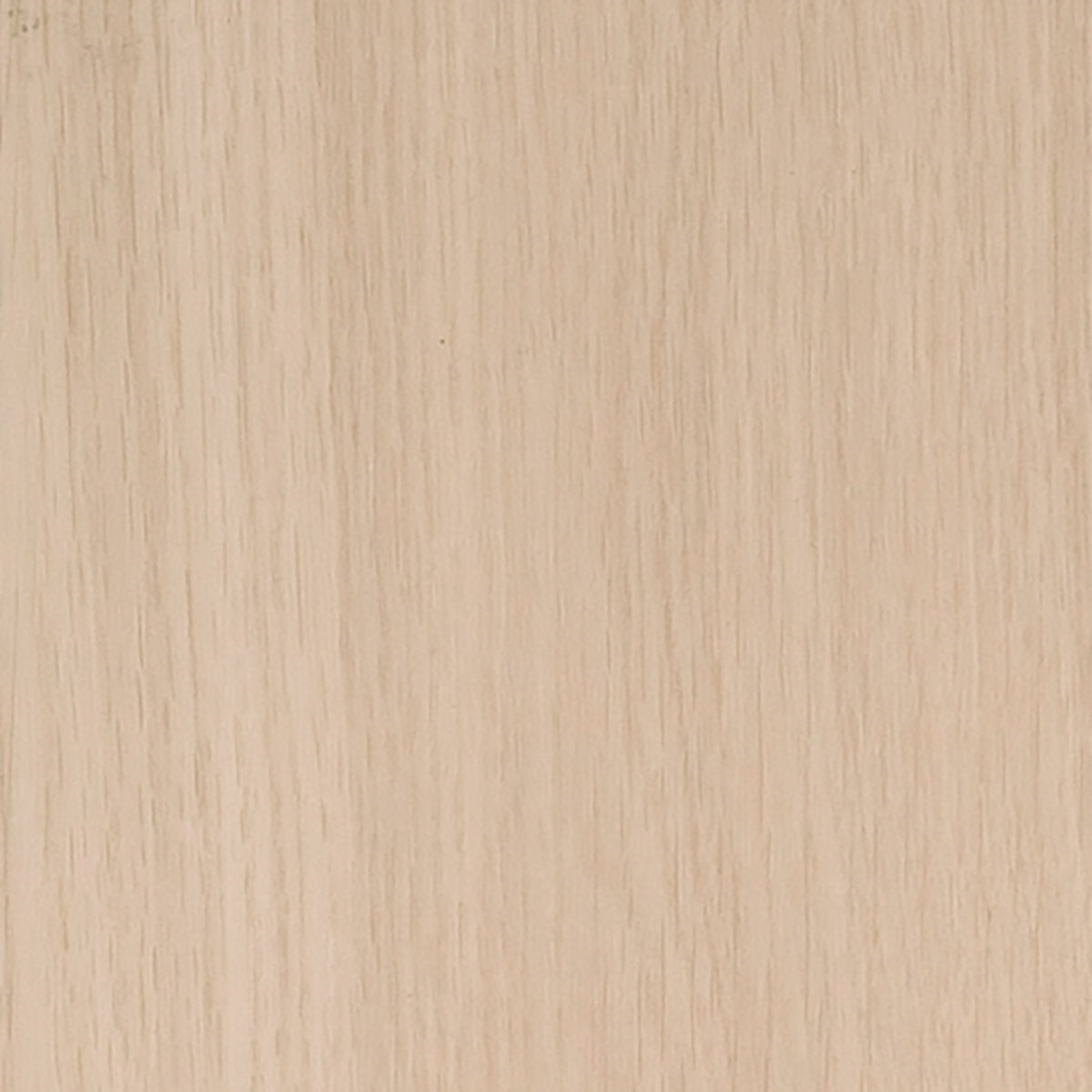 Premium Oak - Ecru macro shot