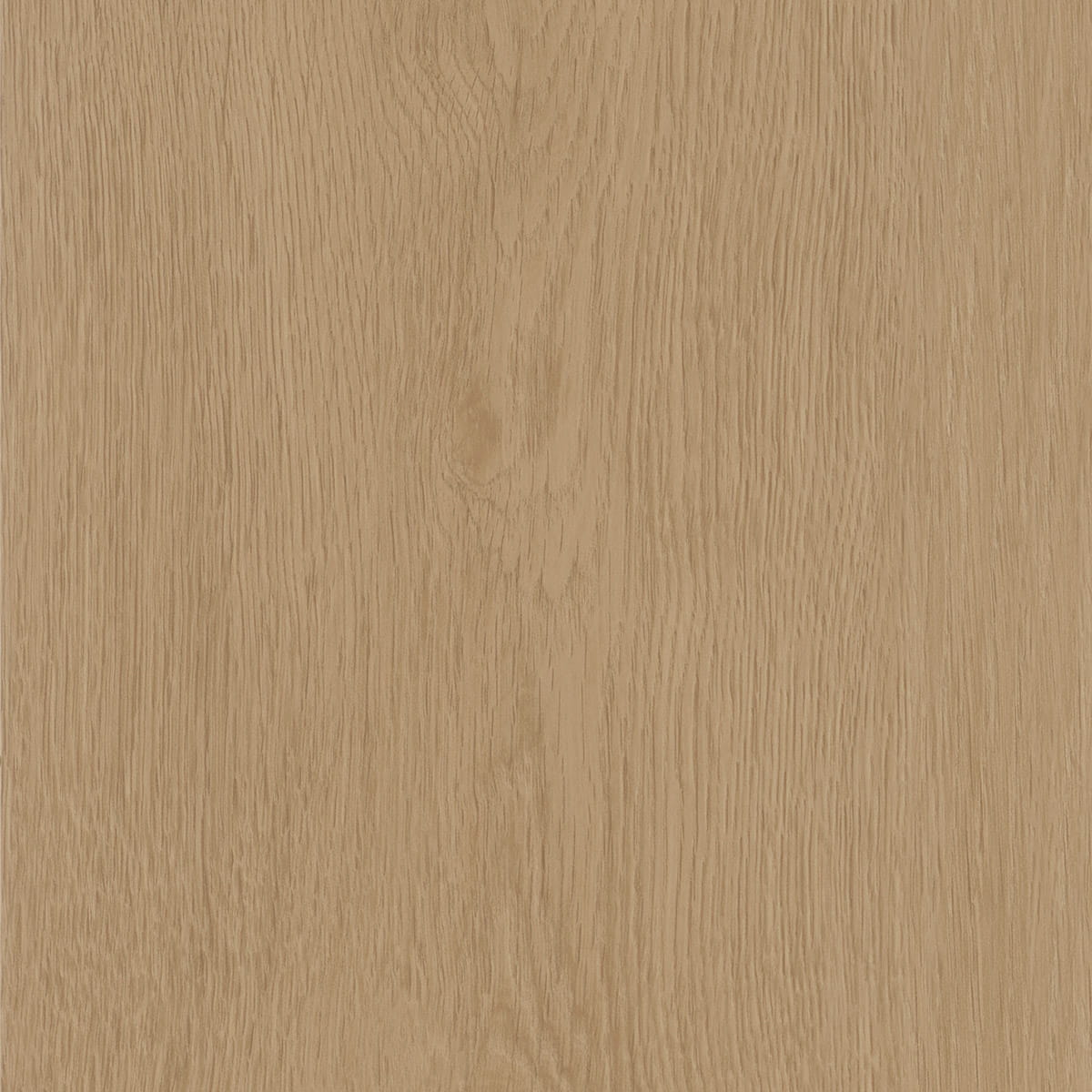 Regency Oak - Toast macro shot